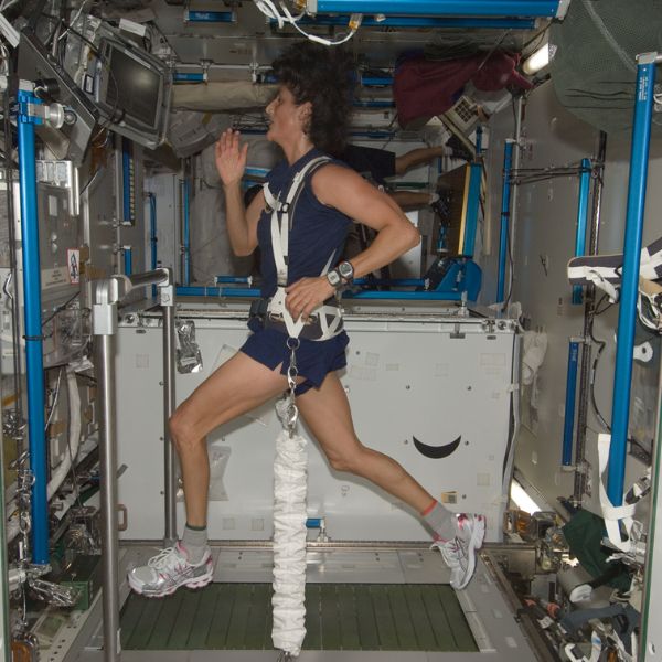 uluslararasi-uzay-istasyonunda-astronot-spinal-anatomisi-ve-bozukluklarinin-gercek-zamanli-ultrason-degerlendirmesi-1556610358